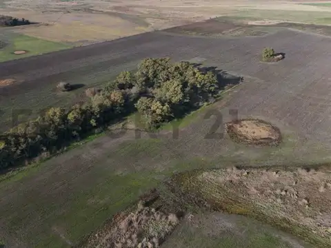 Campo en Venta en San Miguel del Monte, Partido de Monte