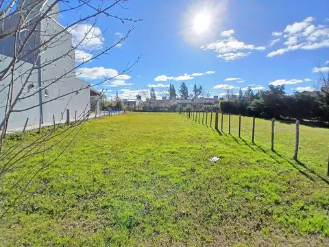Terreno en Venta en Domselaar, Partido de San Vicente