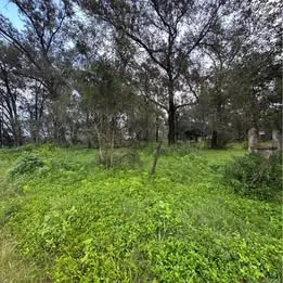 Dos lotes de terreno en Mitimay | 556M2 | financio y vendo