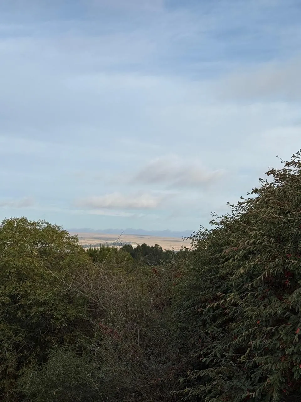 Se vende terreno en La Cumbre "La Loma" con gas natural