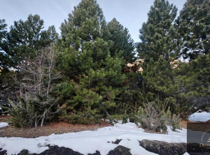 Terreno · 2263m²