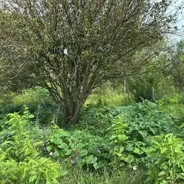 Dos lotes de terreno en Mitimay | 600M2 | apto credito, escritura, financio y vendo