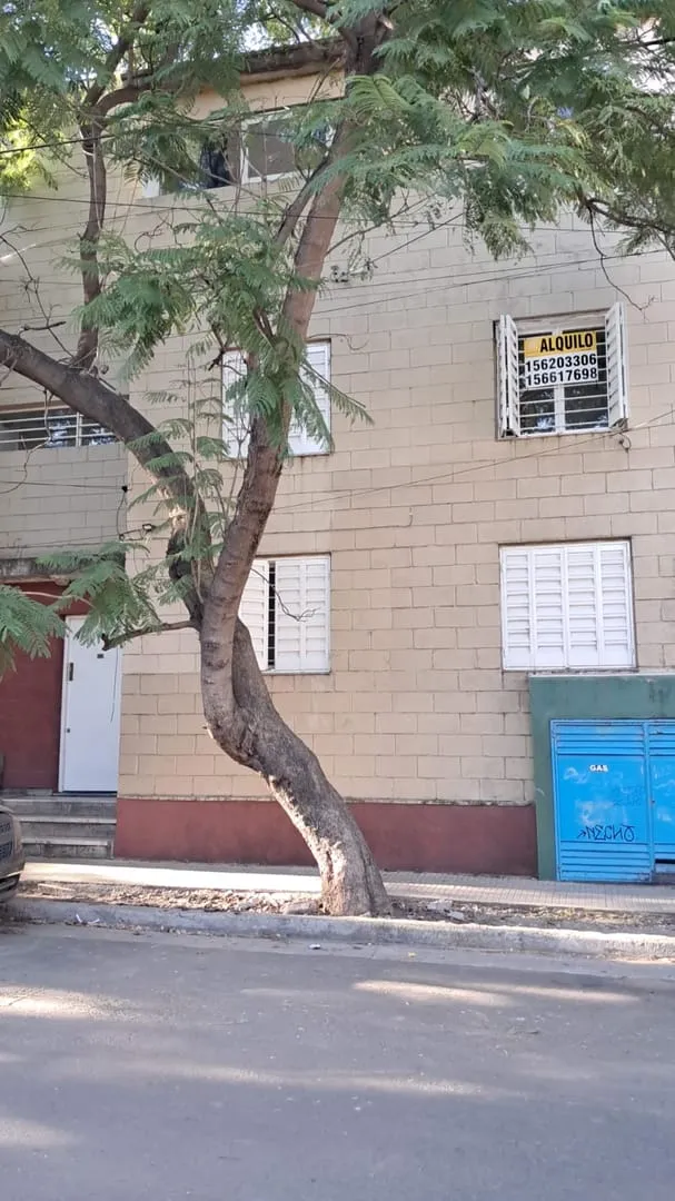 departamento en alquiler 1 dormitorio con bahulera