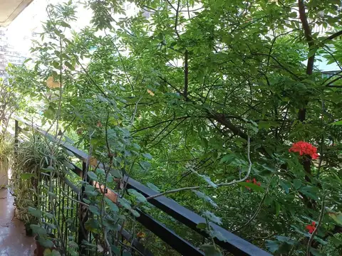 Departamento en Venta en Botanico, Palermo