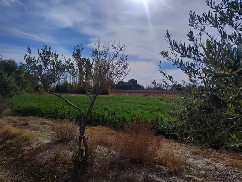 Campo en Venta en Pocito, San Juan
