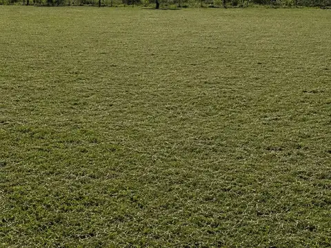 Terreno en Venta en Lavalle, Corrientes