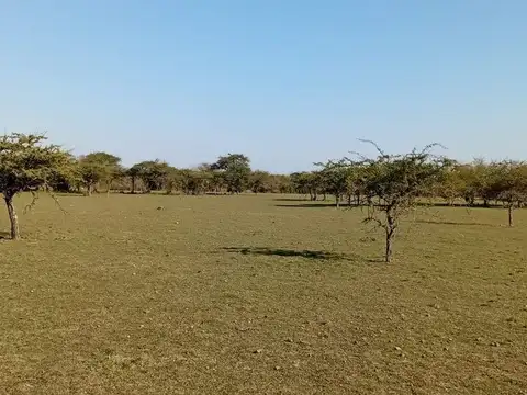 Terreno en Venta en Mercedes, Corrientes