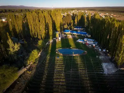 Campo en Venta en Gualjaina, Cushamen