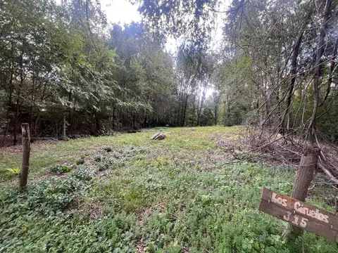 Terreno en Venta en Potrero de los Funes, Juan Martín de Pueyrredón