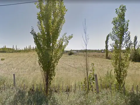 Terreno en Venta en General Fernández Oro, General Roca