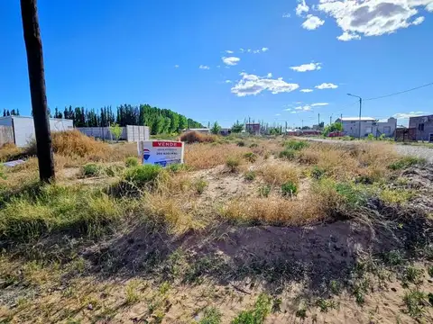 Terreno en Venta en Plottier, Confluencia