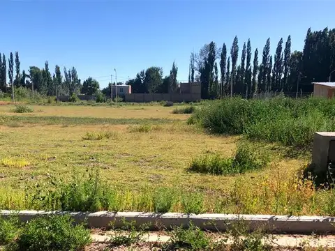 Terreno en Venta en Centenario, Confluencia