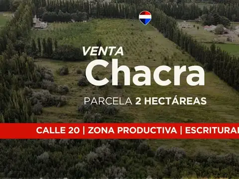 Campo en Venta en Centenario, Confluencia