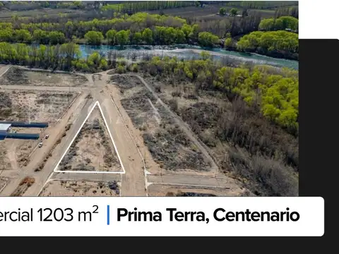 Terreno en Venta en Centenario, Confluencia