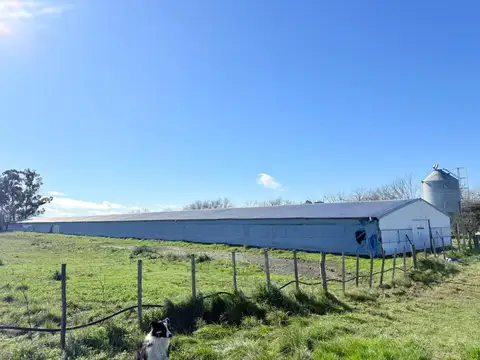 Campo en Venta en Colonia Elia, Uruguay