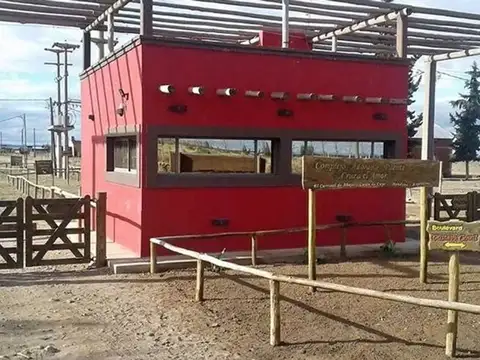 Terreno en Venta en El Carrizal de Abajo, Luján de Cuyo