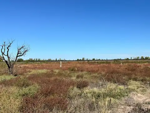 Campo en Venta en Buen Orden, San Martín