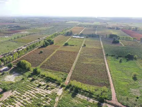 Campo en Venta en El Central, San Martín