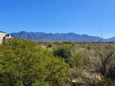 Terreno en Venta en Luján de Cuyo, Mendoza