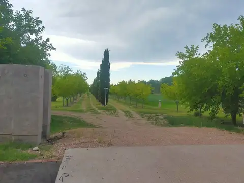 Terreno en Venta en Ingeniero Balloffet, San Rafael