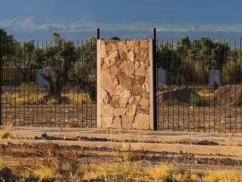 Terreno en Venta en Lujan de Cuyo, Luján de Cuyo