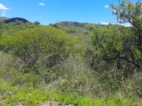 Terreno en Venta en Segunda Usina, Calamuchita
