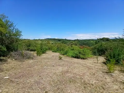 Terreno en Venta en Los Reartes, Calamuchita