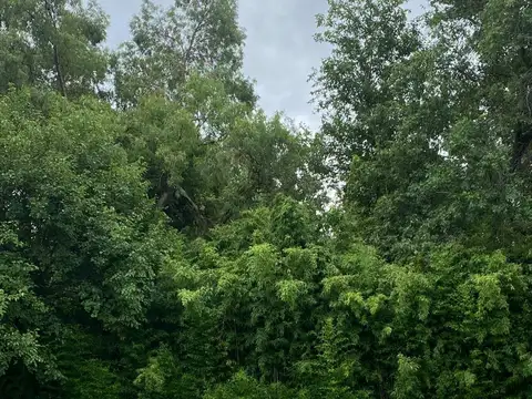 Terreno en Venta en Funes, Rosario