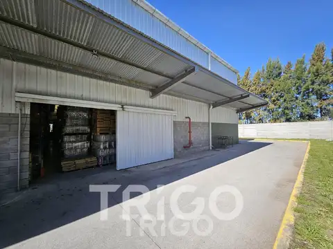 Galpón en Alquiler en Ezeiza, Partido de Ezeiza