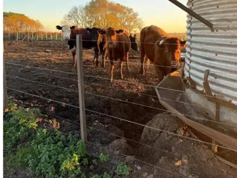 Campo en Venta en Pergamino, Partido de Pergamino