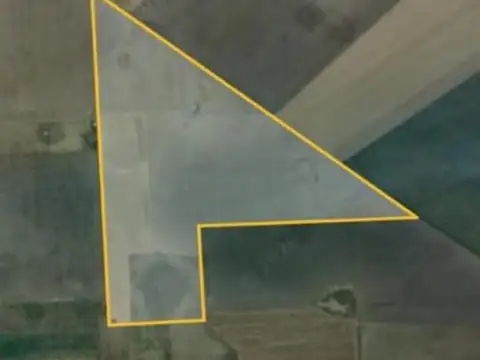Campo en Venta en Pergamino, Partido de Pergamino