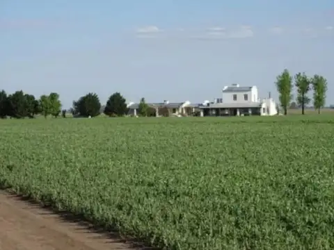 Campo en Venta en Pergamino, Partido de Pergamino