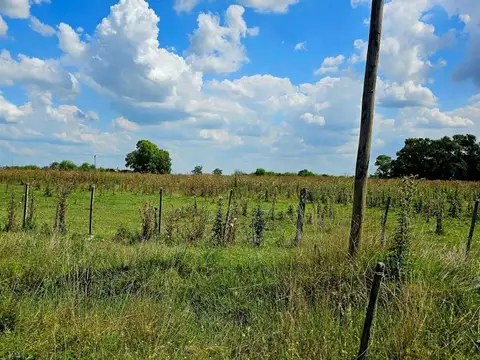Campo en Venta en San Vicente, Partido de San Vicente