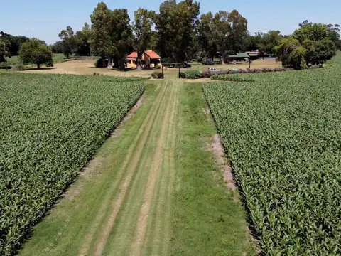 Campo en Venta en Villa Ruiz, Partido de San Andrés de Giles