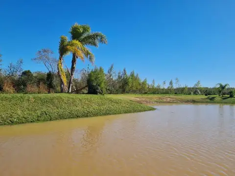 Terreno en Venta en Zona Delta San Fernando, Partido de San Fernando