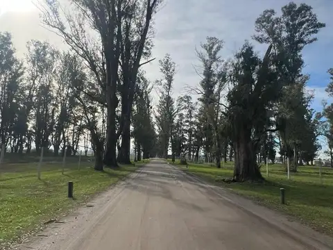 Terreno en Venta en Los Tres Pinos, Countries y Barrios Cerrados en General Rodríguez