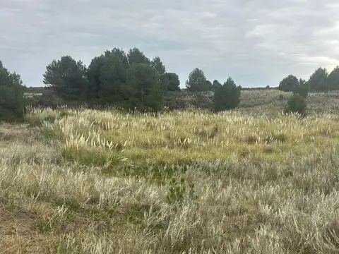 Terreno en Venta en Balneario Sauce Grande, Partido de Monte Hermoso