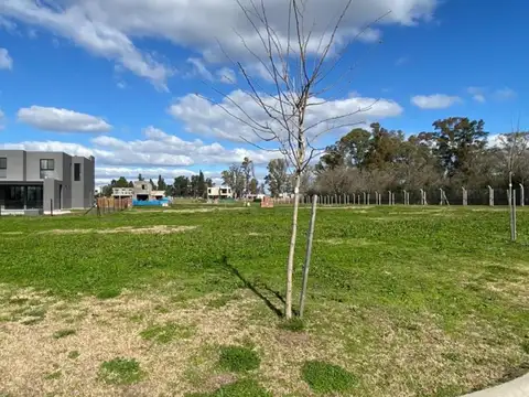 Terreno en Venta en Pilar Del Este - Santa Sofia, Countries y Barrios Cerrados en Pilar