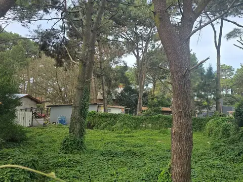 Terreno en Venta en Ostende, Partido de Pinamar