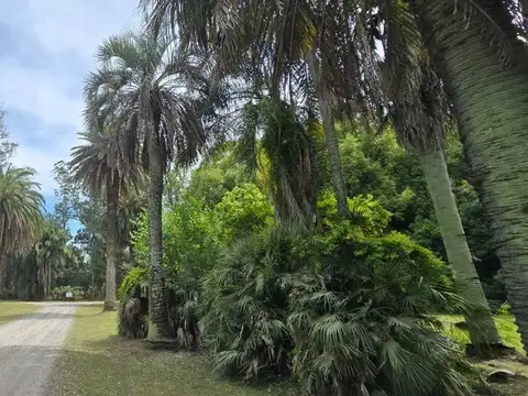 Terreno en Venta en Cañuelas, Partido de Cañuelas