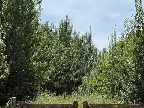 Terreno en Venta en Mar Azul, Partido de Villa Gesell