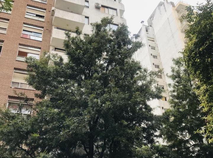 Departamento · 45m² · 2 Ambientes