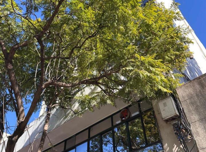 Departamento · 40m² · 3 Ambientes