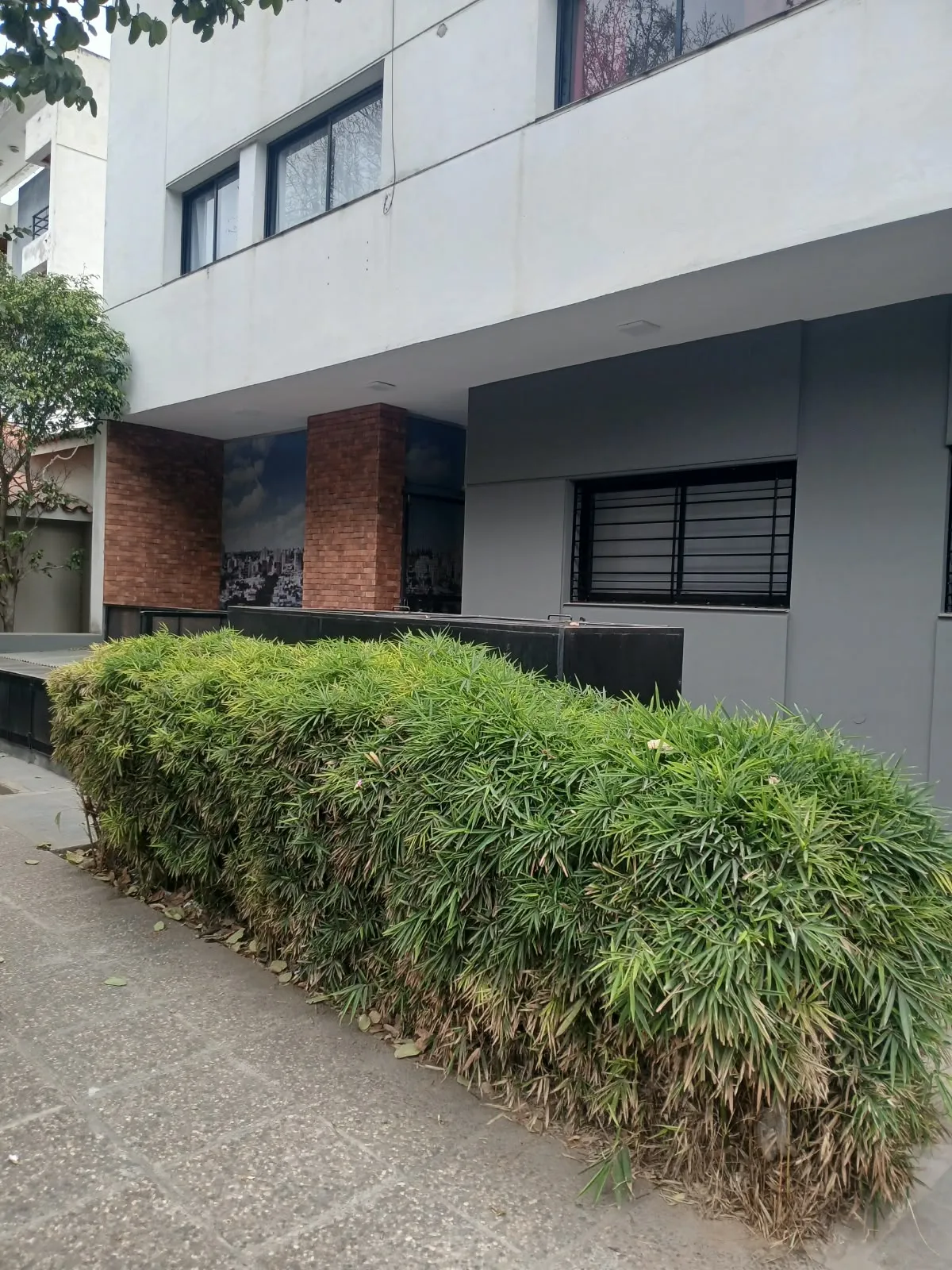 Departamento en planta baja al frente en Alto Alberdi - ALQUILER