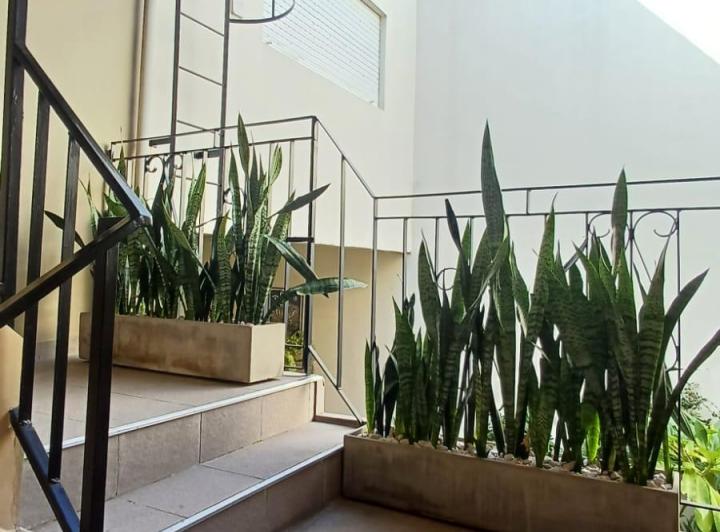 Departamento · 60m² · 3 Ambientes