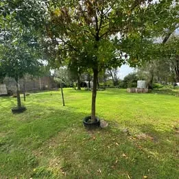 Dos lotes de terreno + casa en Mitimay |583M2| Financio y vendo