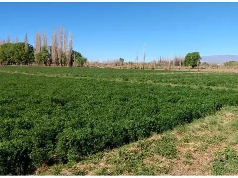 Campo en Venta en Iglesia, San Juan