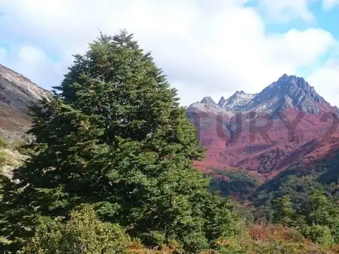 Campo en Venta en Languiñeo, Chubut