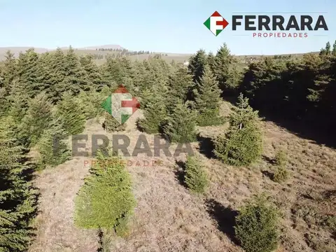 Terreno en Venta en San Carlos de Bariloche, Bariloche
