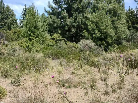 Terreno en Venta en San Carlos de Bariloche, Bariloche
